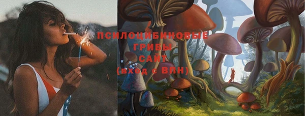 ГАЛЛЮЦИНОГЕННЫЕ ГРИБЫ Краснотурьинск