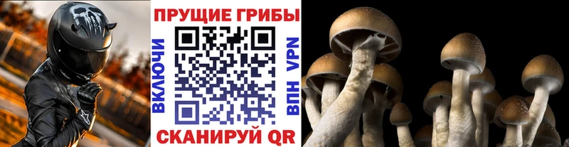 Галлюциногенные грибы ЛСД Купить закладки Мураши