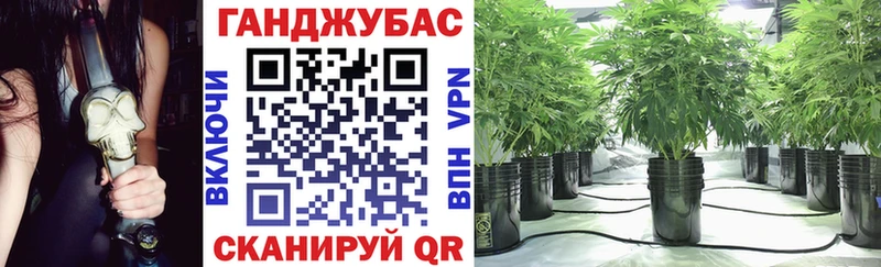 Бошки Шишки Ganja  Купить где  Мураши 